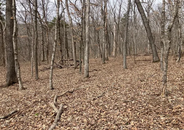 Photo 1 of Land at 0 1 Ac Sycamore Trl, New Florence, MO 63363 | MLS# MIS25016409 | | Sold on 2025-04-25