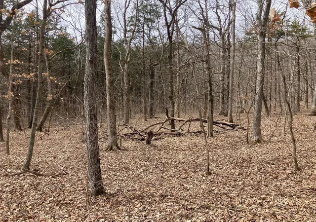 Photo 3 of Land at 0 1 Ac Sycamore Trl, New Florence, MO 63363 | MLS# MIS25016409 | | Sold on 2025-04-25