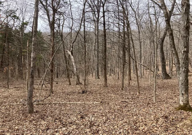 Photo 4 of Land at 0 1 Ac Sycamore Trl, New Florence, MO 63363 | MLS# MIS25016409 | | Sold on 2025-04-25