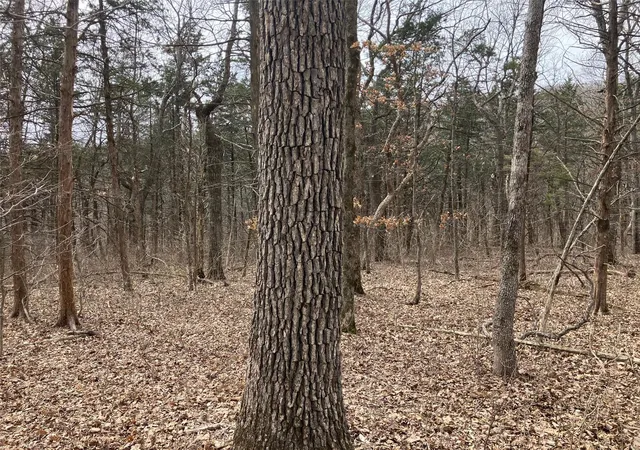 Photo 5 of Land at 0 1 Ac Sycamore Trl, New Florence, MO 63363 | MLS# MIS25016409 | | Sold on 2025-04-25