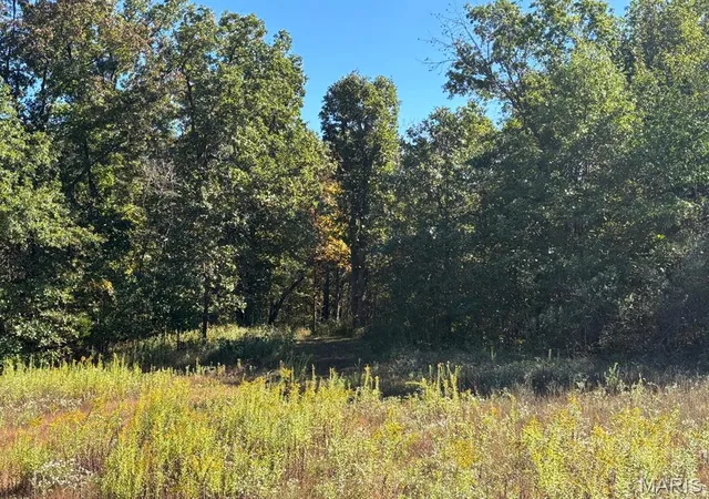 Photo 1 of Land at 29 Leo Ln, Vandalia, MO 63382 | MLS# MIS25016531 | | Sold on 2026-02-24