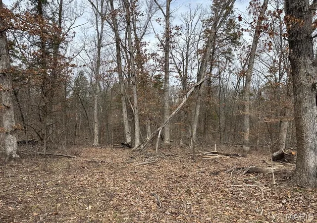 Photo 5 of Land at 29 Leo Ln, Vandalia, MO 63382 | MLS# MIS25016531 | | Sold on 2026-02-24