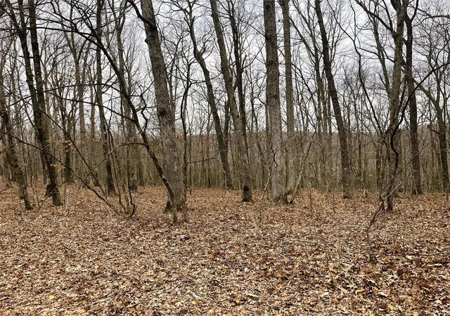 Photo 3 of Land at 23 Turkey Trail, New Florence, MO 63363 | MLS# MIS25016688 | | Sold on 2025-06-18