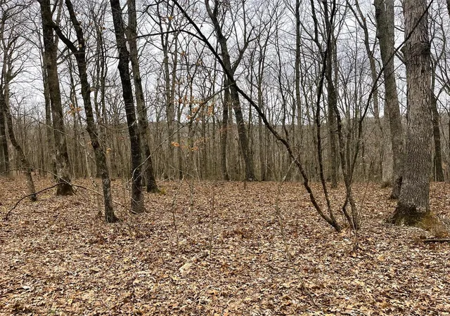 Photo 4 of Land at 23 Turkey Trail, New Florence, MO 63363 | MLS# MIS25016688 | | Sold on 2025-06-18