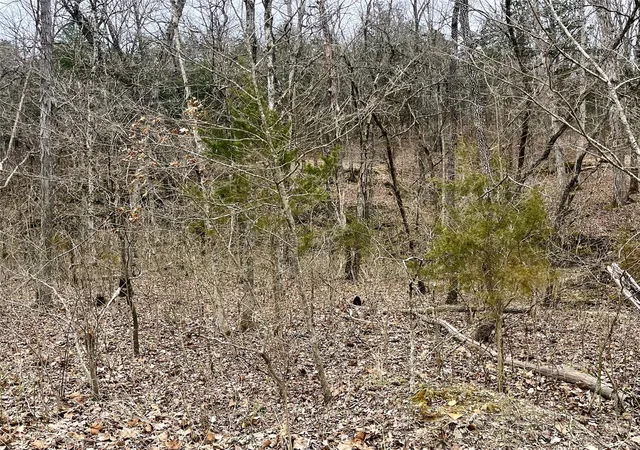 Photo 5 of Land at 23 Turkey Trail, New Florence, MO 63363 | MLS# MIS25016688 | | Sold on 2025-06-18