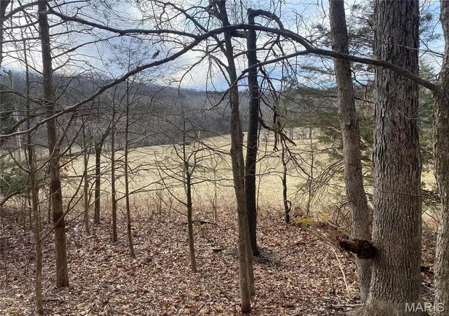 Photo 1 of Land at 275 R&B Dr, Hermann, MO 65041 | MLS# MIS25016799 | | Sold on 2025-10-23