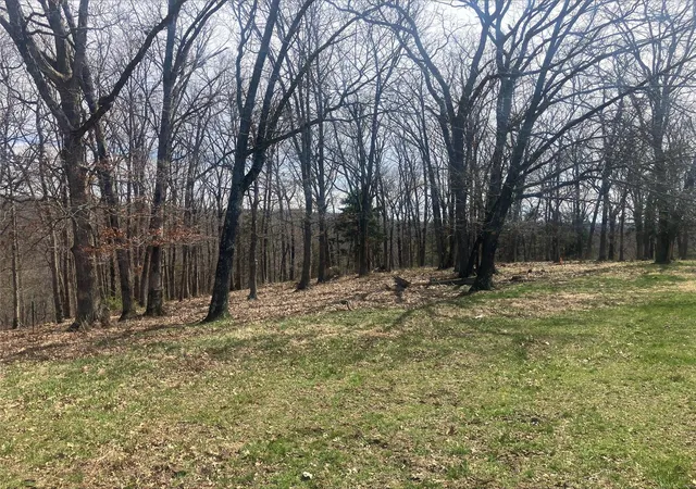 Photo 5 of Farm at 0 1685 Ac S Mill Creek Rd, New Florence, MO 63363 | MLS# MIS25017764 |  | Sold on 2025-05-28