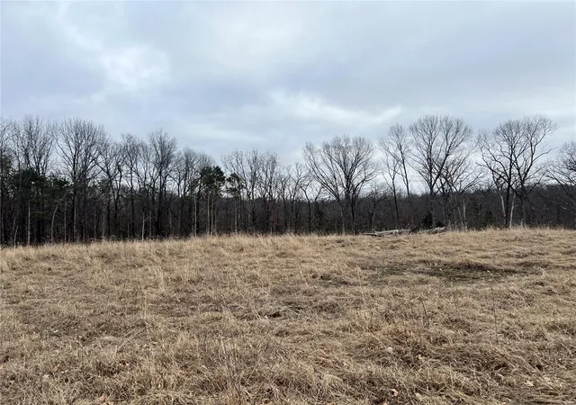 Photo 3 of Farm at 36 County Road 4055, Rhineland, MO 65069 | MLS# MIS25019084 | | Sold on 2025-04-15