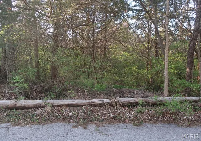 2nd image of (Undisclosed), Cedar Hill, MO 63016 | MLS# MIS25019126