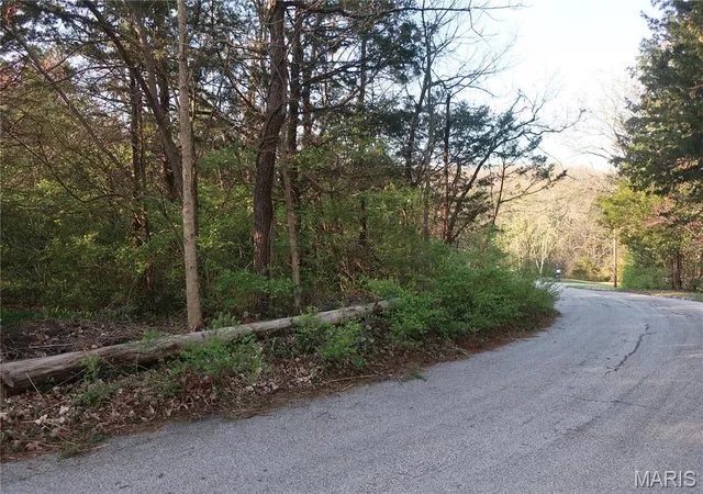 3rd image of (Undisclosed), Cedar Hill, MO 63016 | MLS# MIS25019126