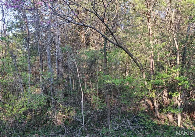 4th image of (Undisclosed), Cedar Hill, MO 63016 | MLS# MIS25019126