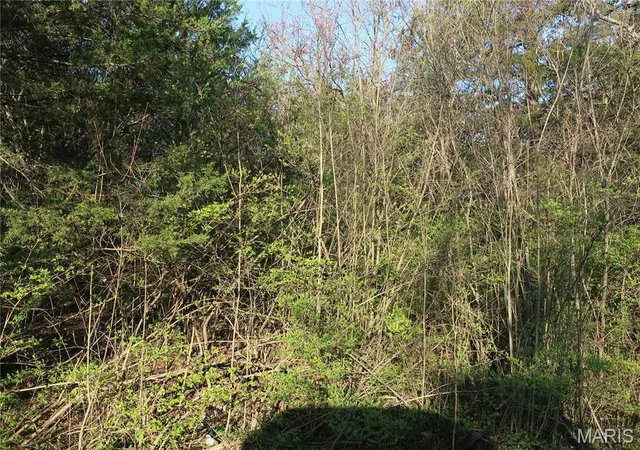 5th image of (Undisclosed), Cedar Hill, MO 63016 | MLS# MIS25019126