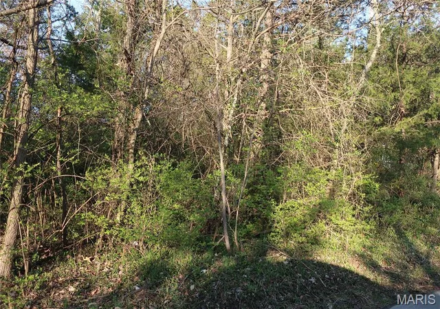 7th image of (Undisclosed), Cedar Hill, MO 63016 | MLS# MIS25019126