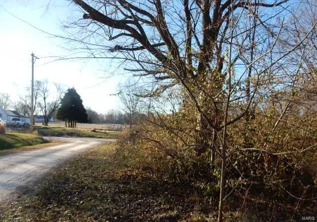Photo 4 of Single Family Residence at 103 N Roosevelt St, Bellflower, MO 63333 | MLS# MIS25019567 | | Sold on 2025-04-30