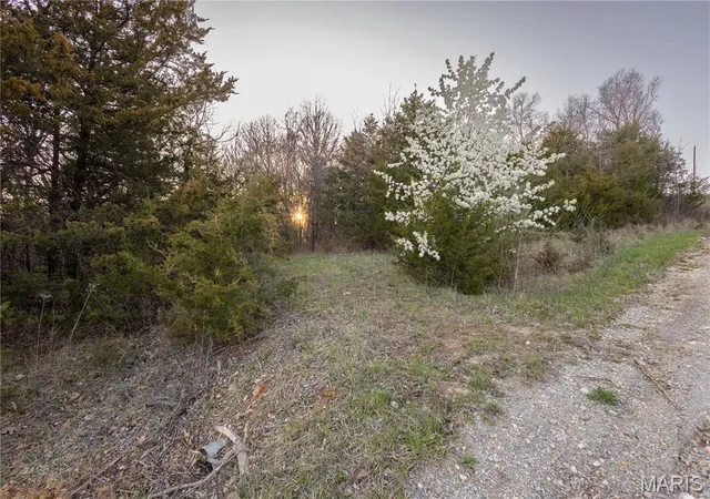 Photo 1 of Land at 0 Henry Dr, New London, MO 63459 | MLS# MIS25020575 |  | Sold on 2025-06-20