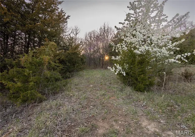 Photo 2 of Land at 0 Henry Dr, New London, MO 63459 | MLS# MIS25020575 |  | Sold on 2025-06-20