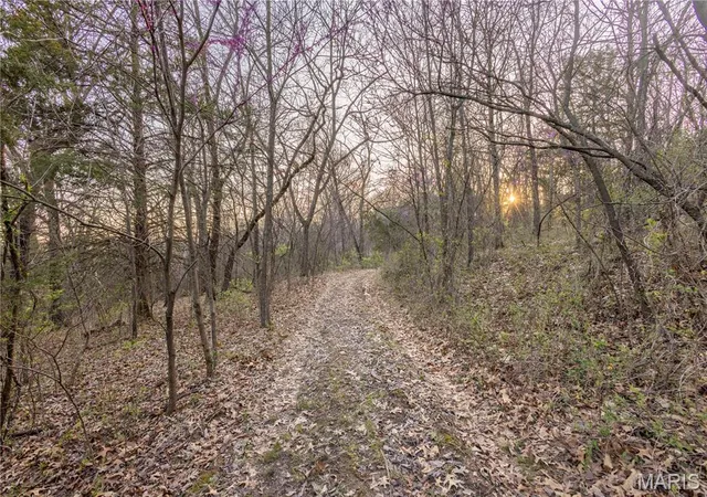 Photo 3 of Land at 0 Henry Dr, New London, MO 63459 | MLS# MIS25020575 |  | Sold on 2025-06-20