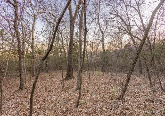 Photo 4 of Land at 0 Henry Dr, New London, MO 63459 | MLS# MIS25020575 |  | Sold on 2025-06-20
