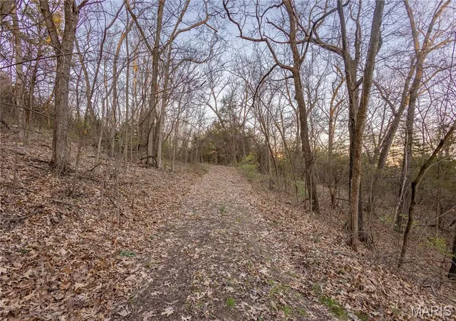 Photo 5 of Land at 0 Henry Dr, New London, MO 63459 | MLS# MIS25020575 |  | Sold on 2025-06-20