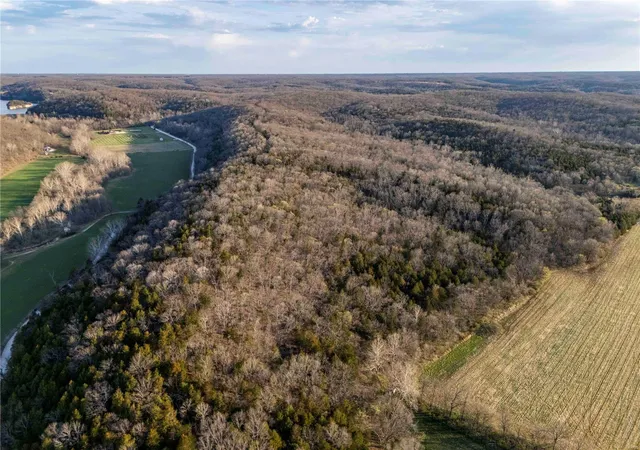 Photo 5 of Farm at 0 State Rte Y, Jonesburg, MO 63351 | MLS# MIS25021107 | | Sold on 2025-06-18