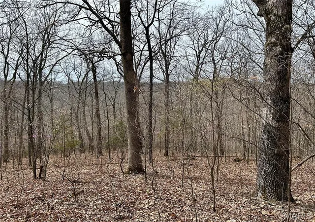 29th image of 0 Mo O, Marthasville, MO 63357 | MLS# MIS25021117