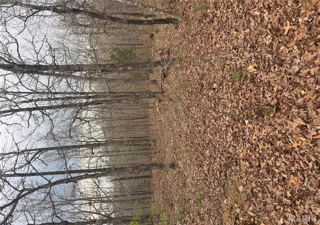 Photo 5 of Farm at 2292 Madison 219, Fredericktown, MO 63645 | MLS# MIS25021297 |  | Sold on 2025-05-19