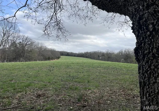 Photo 4 of Farm at 0 3126+/- Ac Tract #3 Horstman Rd, New Haven, MO 63068 | MLS# MIS25021337 | | Sold on 2025-08-14