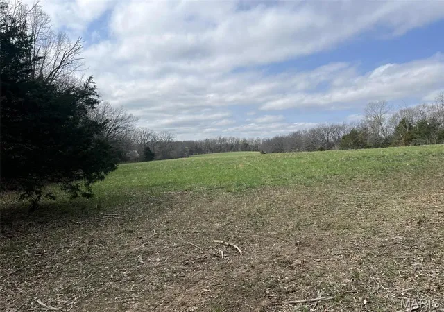 Photo 5 of Farm at 0 3126+/- Ac Tract #3 Horstman Rd, New Haven, MO 63068 | MLS# MIS25021337 | | Sold on 2025-08-14