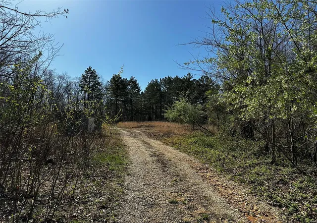 Photo 5 of Land at 12128 State Hwy Jj, Marble Hill, MO 63764 | MLS# MIS25021627 |  | Sold on 2025-05-07