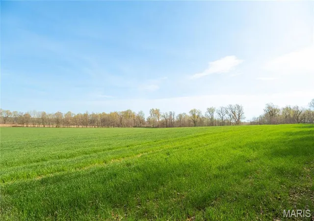 Photo 1 of Farm at 123 County Road 639, Dexter, MO 63841 | MLS# MIS25022046 | | Sold on 2025-09-22