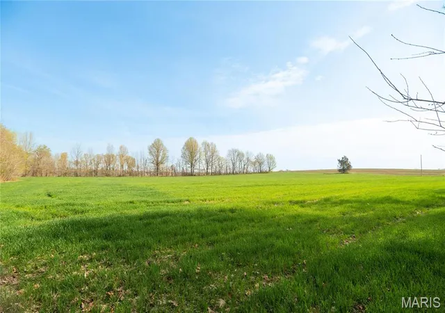 Photo 2 of Farm at 123 County Road 639, Dexter, MO 63841 | MLS# MIS25022046 | | Sold on 2025-09-22