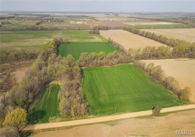Photo 3 of Farm at 123 County Road 639, Dexter, MO 63841 | MLS# MIS25022046 | | Sold on 2025-09-22