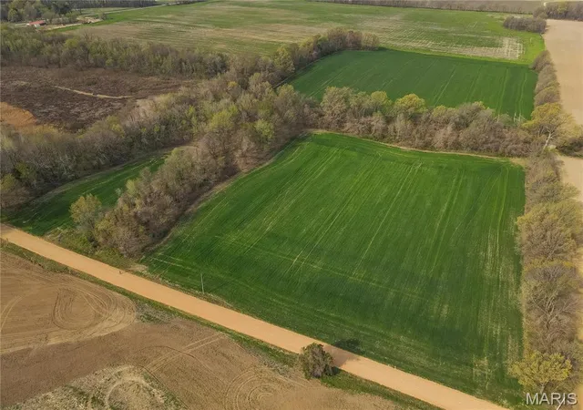 Photo 4 of Farm at 123 County Road 639, Dexter, MO 63841 | MLS# MIS25022046 | | Sold on 2025-09-22