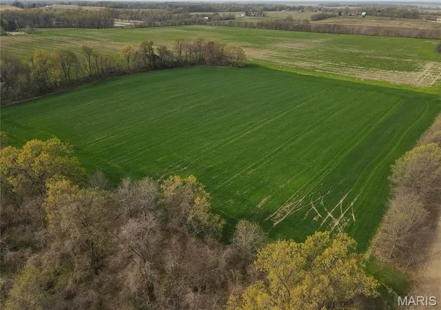 Photo 5 of Farm at 123 County Road 639, Dexter, MO 63841 | MLS# MIS25022046 | | Sold on 2025-09-22