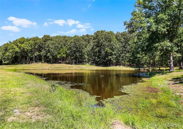 Photo 1 of Farm at 0 3146 +/- Ac Tract #4 Horstman Rd, New Haven, MO 63068 | MLS# MIS25022166 | | Sold on 2025-08-14