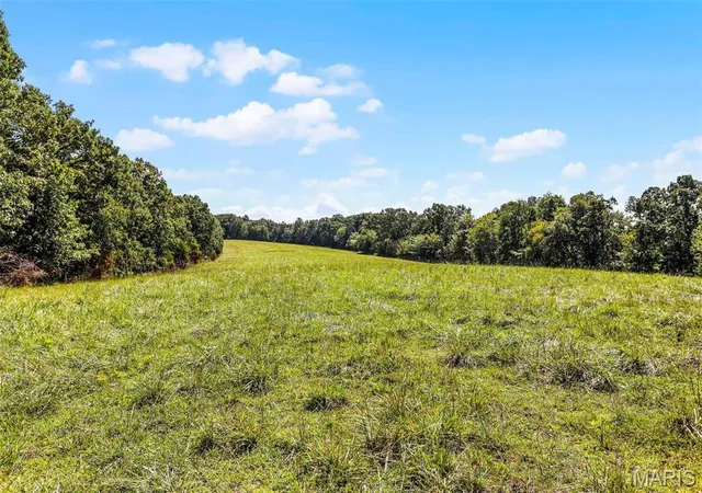 Photo 4 of Farm at 0 3146 +/- Ac Tract #4 Horstman Rd, New Haven, MO 63068 | MLS# MIS25022166 | | Sold on 2025-08-14