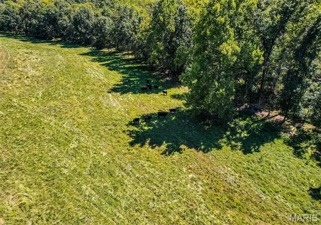 Photo 5 of Farm at 0 3146 +/- Ac Tract #4 Horstman Rd, New Haven, MO 63068 | MLS# MIS25022166 | | Sold on 2025-08-14