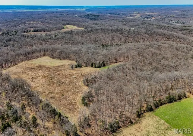 Photo 1 of Farm at 0 Hwy D, Portland, MO 65067 | MLS# MIS25022235 | | Sold on 2025-05-30