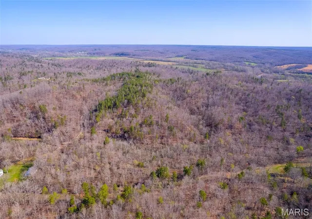 Photo 2 of Farm at 0 Madison Cr322, Marquand, MO 63655 | MLS# MIS25022350 | | Sold on 2025-05-01