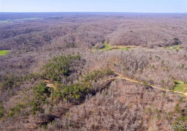 Photo 3 of Farm at 0 Madison Cr322, Marquand, MO 63655 | MLS# MIS25022350 | | Sold on 2025-05-01