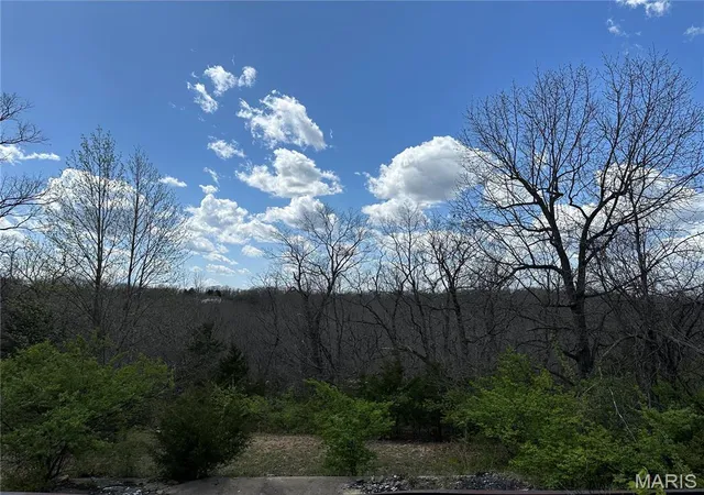 Photo 1 of Land for sale at 1780 Old Woolam Rd, Owensville, MO 65066 | MLS# MIS25022561 | Listing updated on 2025-11-01