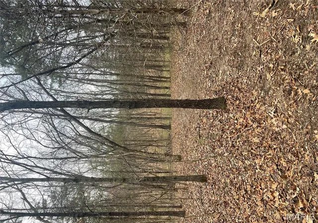 Photo 3 of Land at 12 Riley Road, Monroe, MO 63456 | MLS# MIS25023270 |  | Sold on 2025-06-13