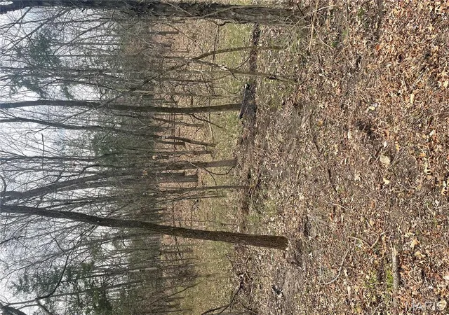 Photo 4 of Land at 12 Riley Road, Monroe, MO 63456 | MLS# MIS25023270 |  | Sold on 2025-06-13