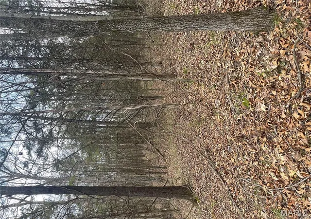 Photo 5 of Land at 12 Riley Road, Monroe, MO 63456 | MLS# MIS25023270 |  | Sold on 2025-06-13