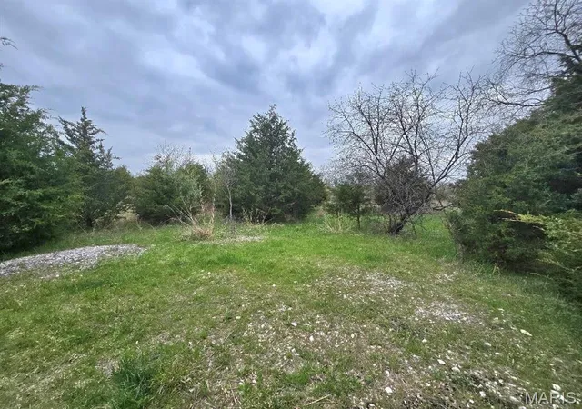 Photo 3 of Agriculture at 0 Red Oak Rd, High Hill, MO 63350 | MLS# MIS25024608 | | Sold on 2025-06-11