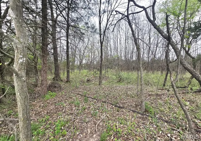 Photo 4 of Agriculture at 0 Red Oak Rd, High Hill, MO 63350 | MLS# MIS25024608 | | Sold on 2025-06-11