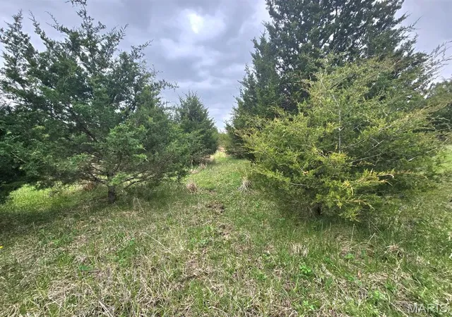 Photo 5 of Agriculture at 0 Red Oak Rd, High Hill, MO 63350 | MLS# MIS25024608 | | Sold on 2025-06-11