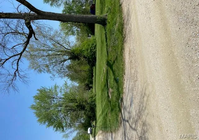Photo 2 of Land at 110 S Maple St, Bellflower, MO 63333 | MLS# MIS25025309 | | Sold on 2025-09-25