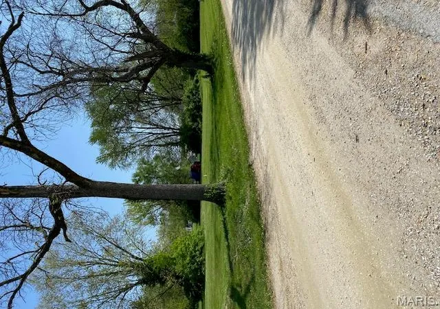 Photo 3 of Land at 110 S Maple St, Bellflower, MO 63333 | MLS# MIS25025309 | | Sold on 2025-09-25