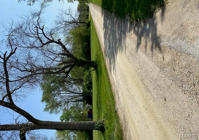 Photo 4 of Land at 110 S Maple St, Bellflower, MO 63333 | MLS# MIS25025309 | | Sold on 2025-09-25